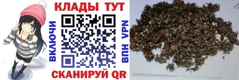 ГАШ Невель