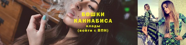 твердый Медвежьегорск