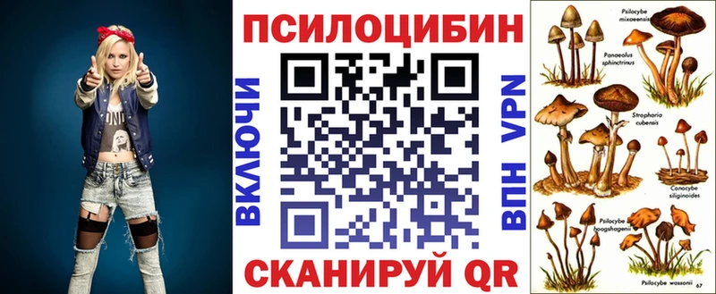 Псилоцибиновые грибы прущие грибы  Невель 